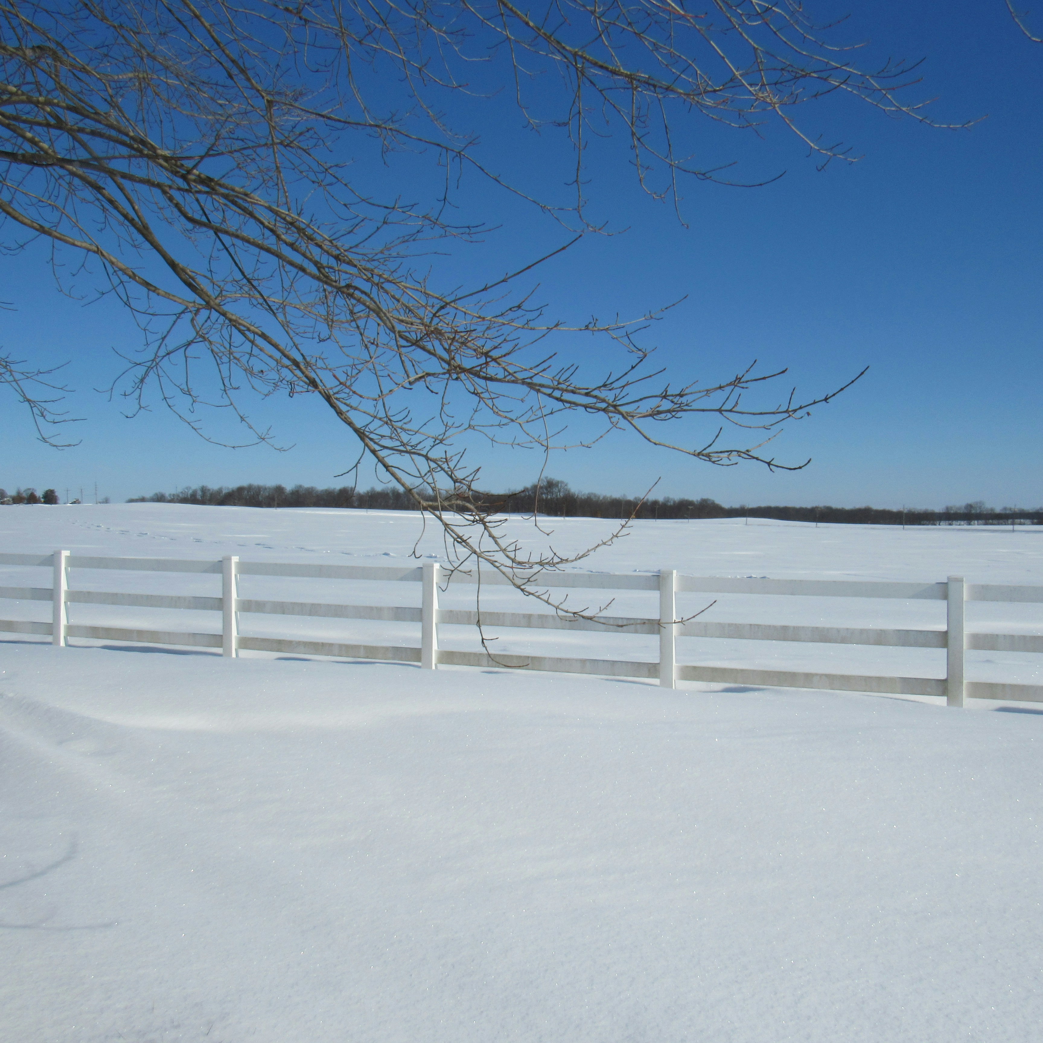 a-snow-covered-field-with-a-white-fence - sierra-bewley (unsplash)./pho