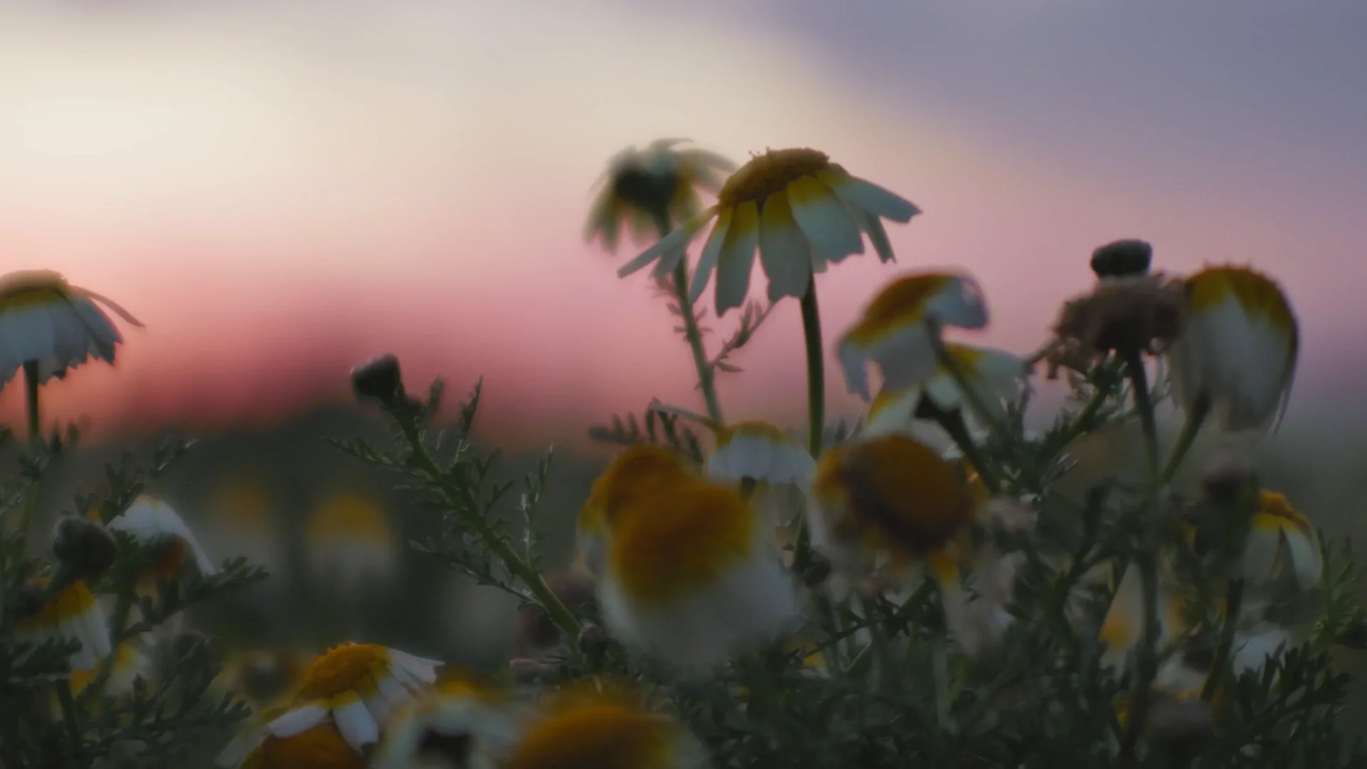 Traces for Range Rover: supporting image showing a visual detail from the project’s cinematic world.