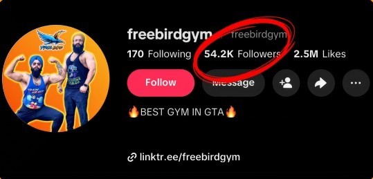 TikTok profile 1 year later with 54.2K followers