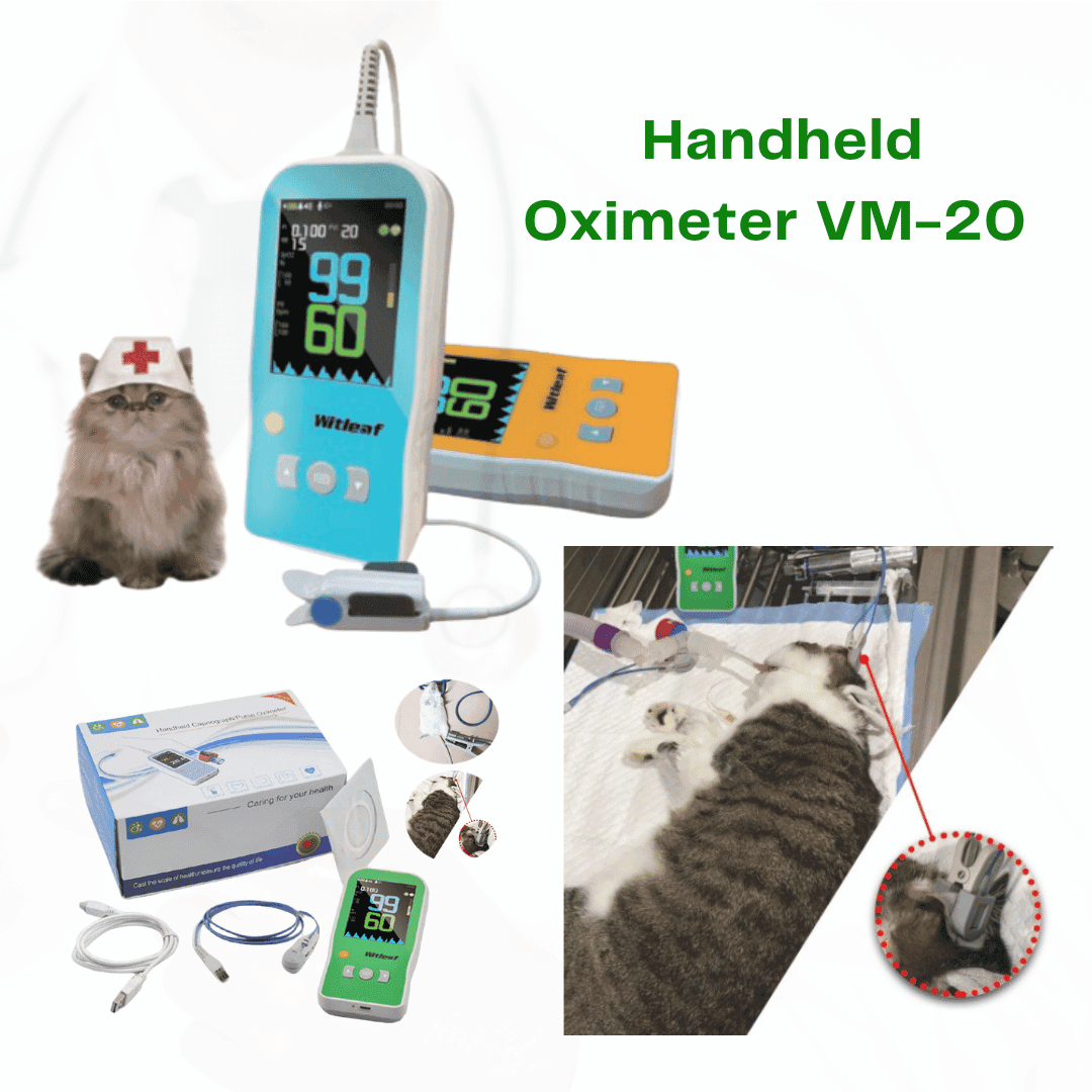 Durable stainless steel valve used in bulk handling and chemical processing