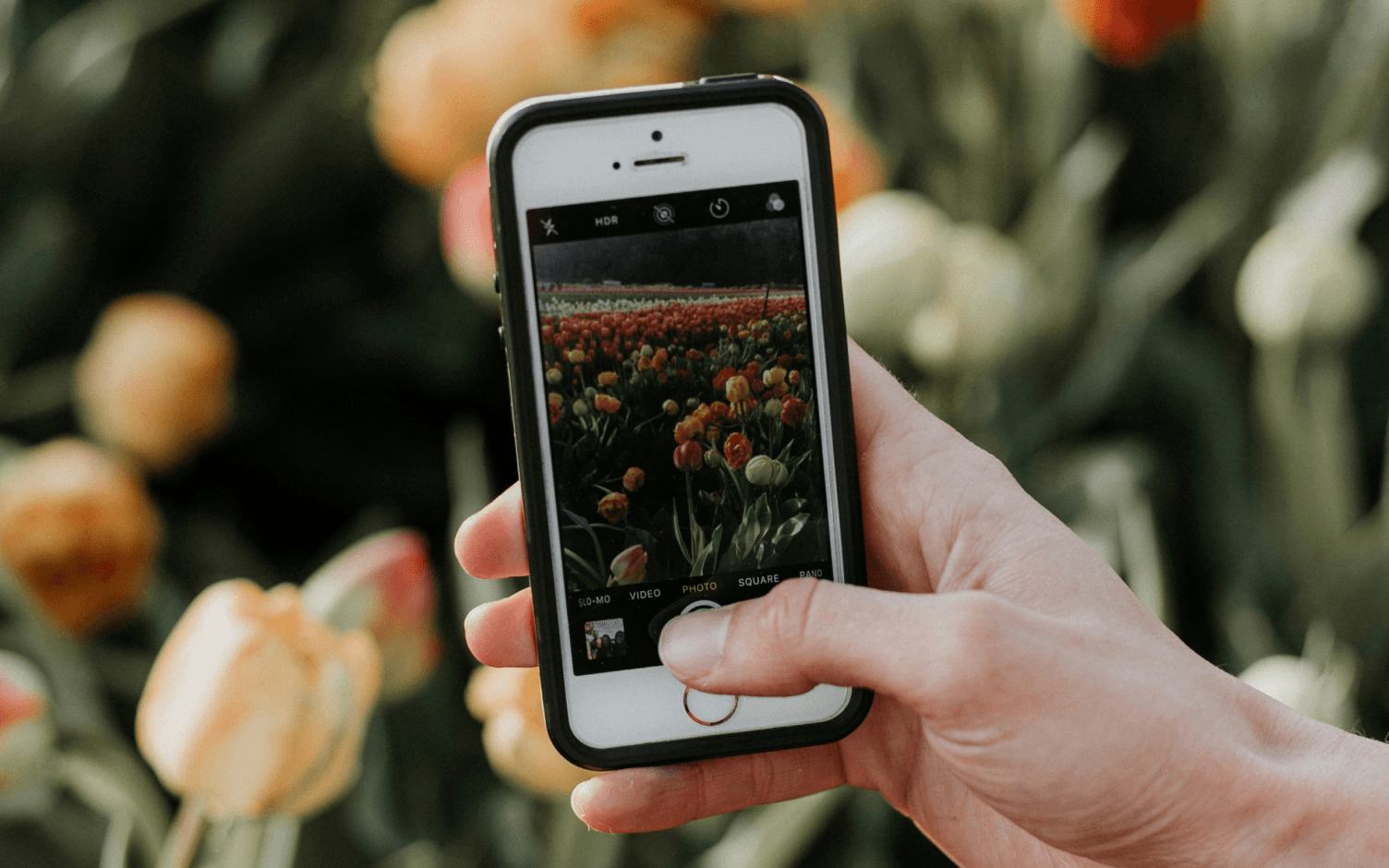 how to capture instagram story post images