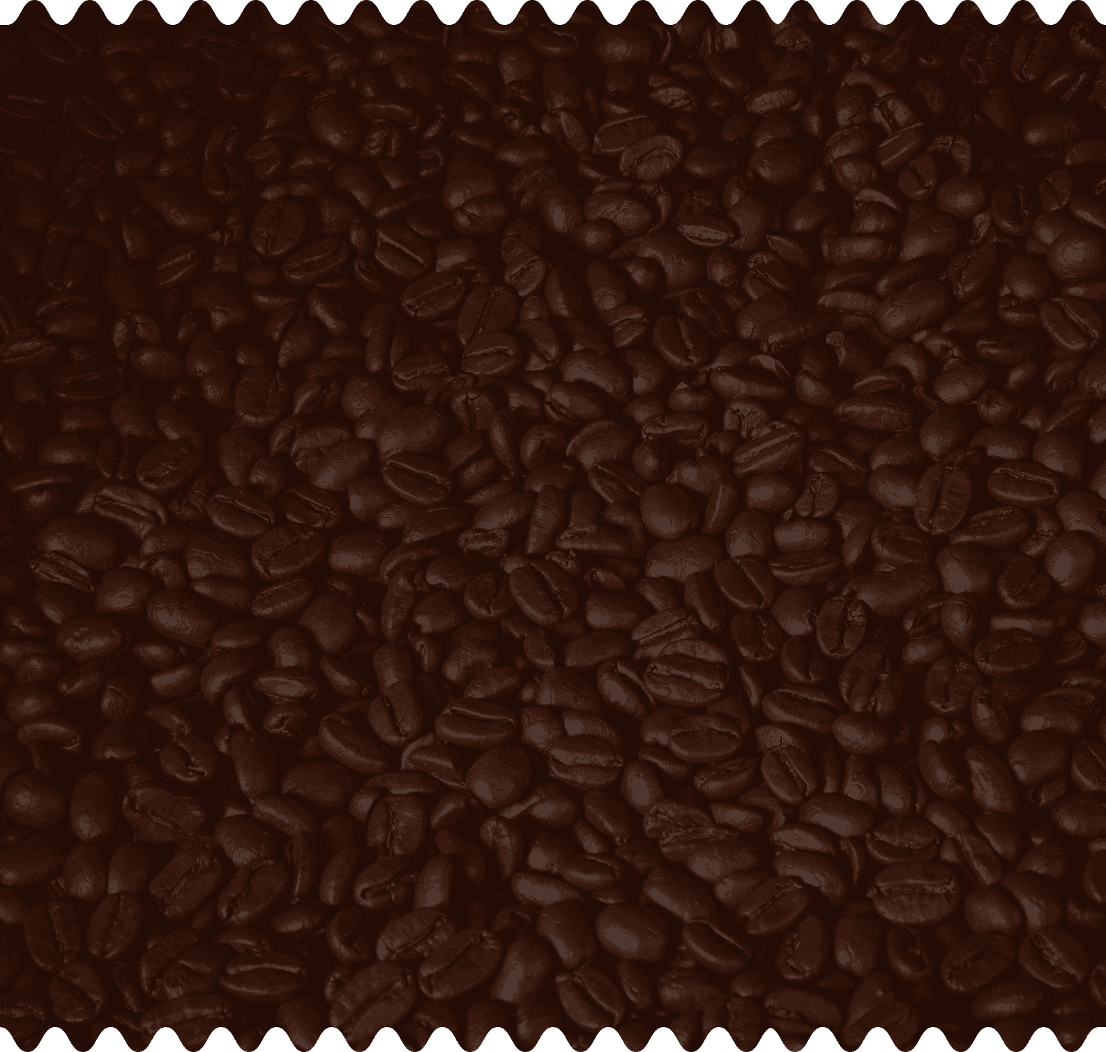 BG Image