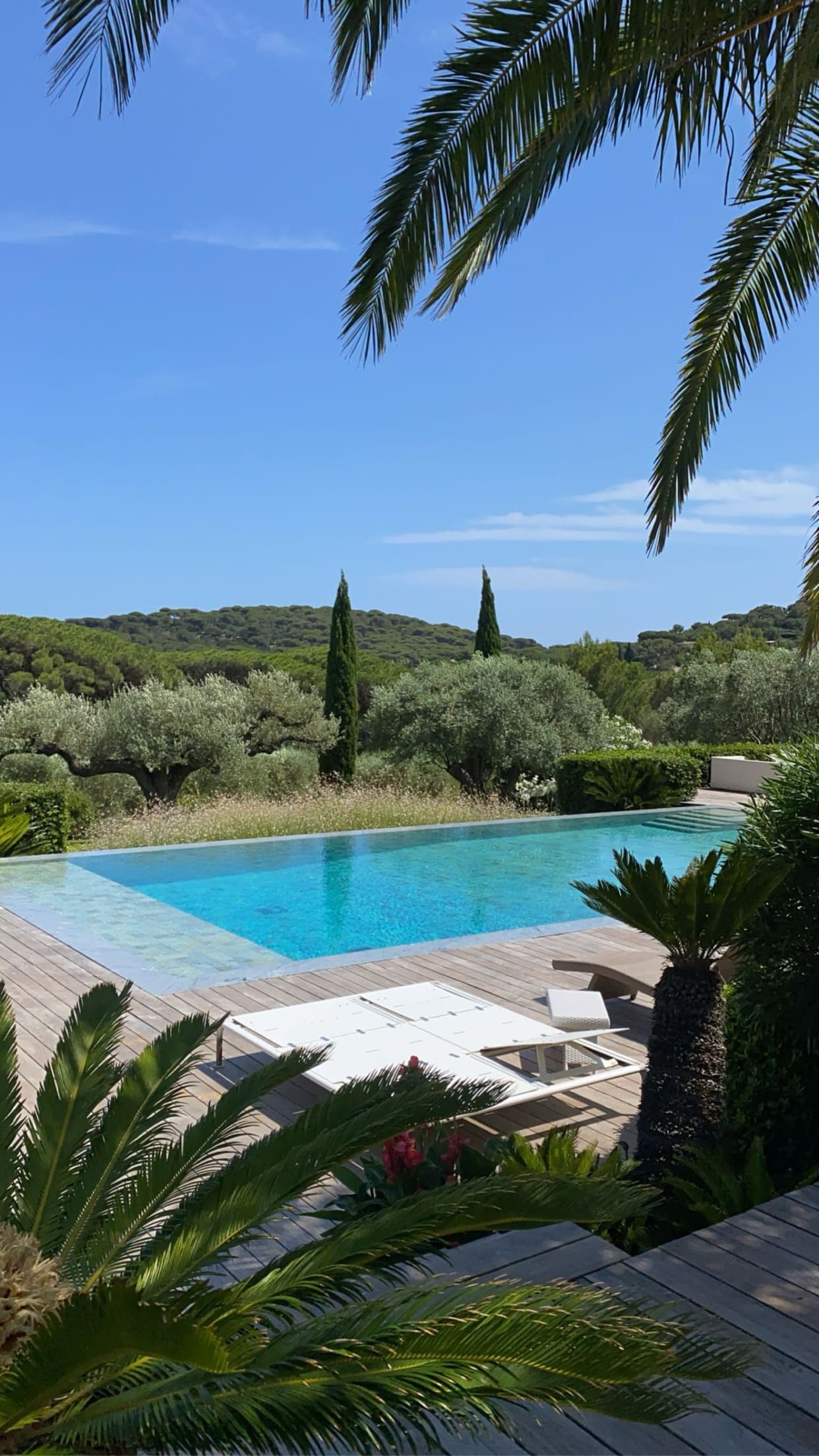 Conception et plan de jardin sur-mesure par un paysagiste au Lavandou, secteur de la Fossette.