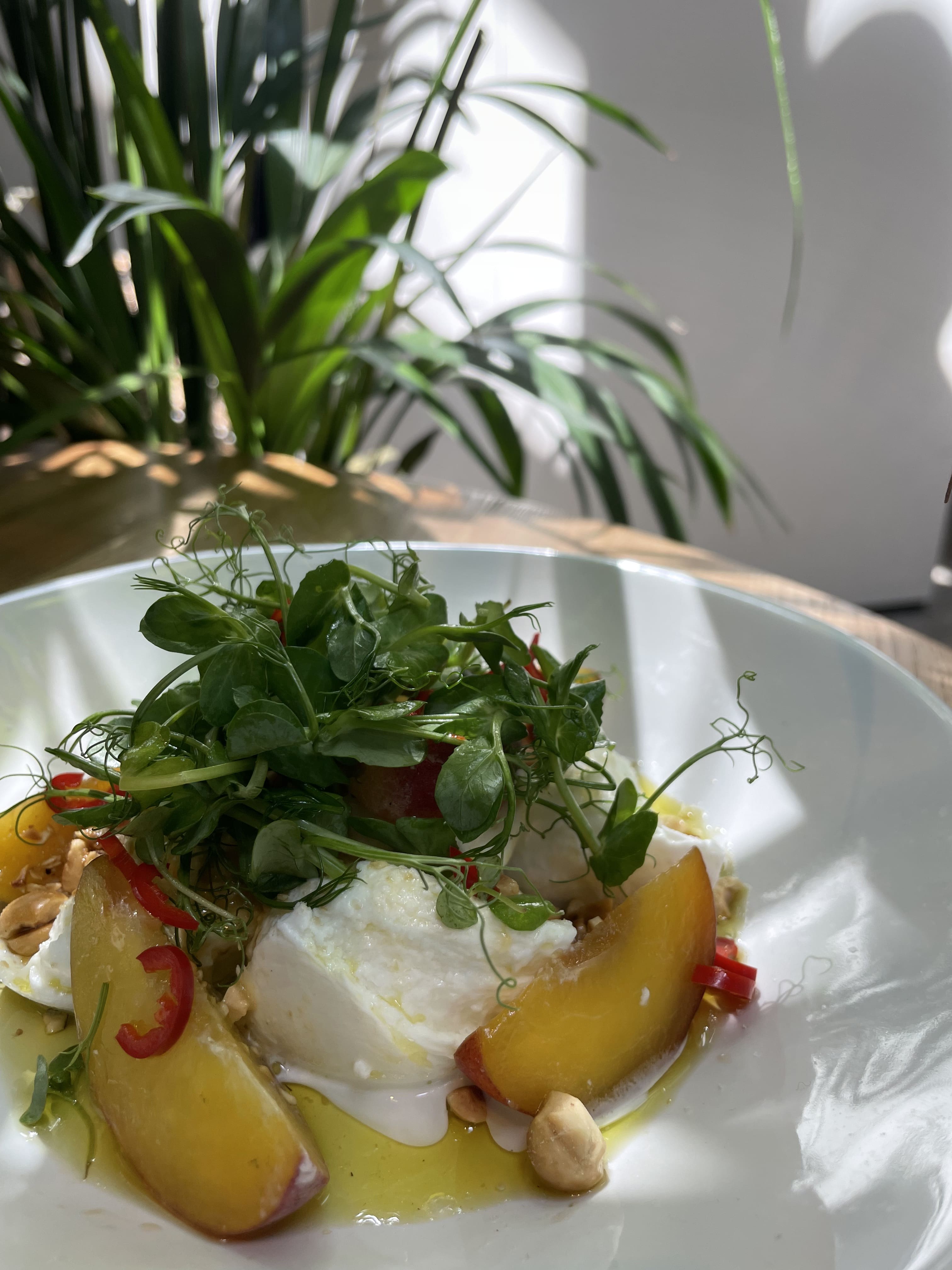 Peach & Burrata