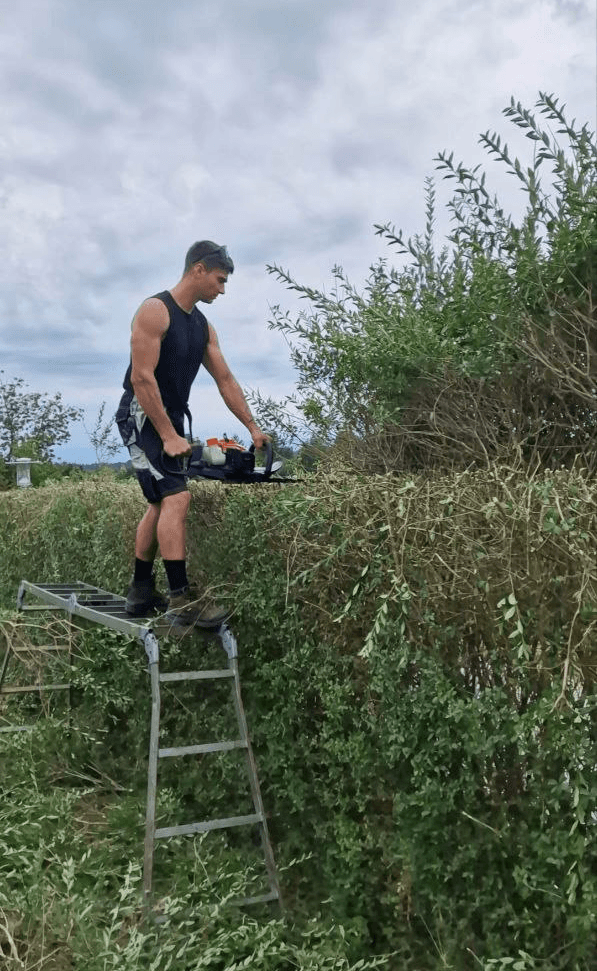 Public park