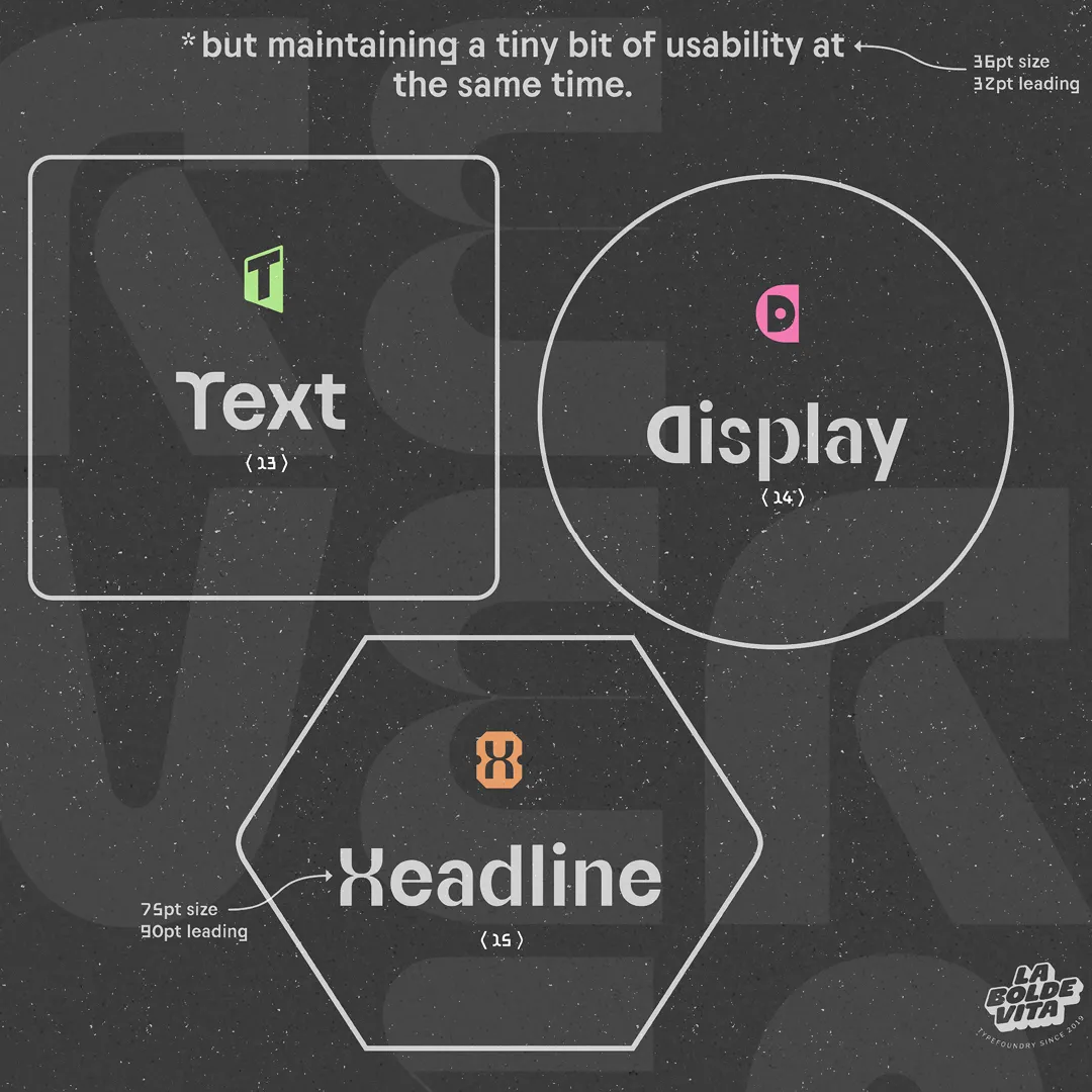graphic composition with text, colored icons and individual shapes for the three subfamilies of Reversa