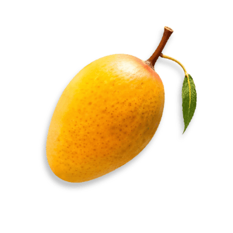 มะม่วงอบแห้ง Dried Mangoes พรีเมียม Dried Fruits Thailand