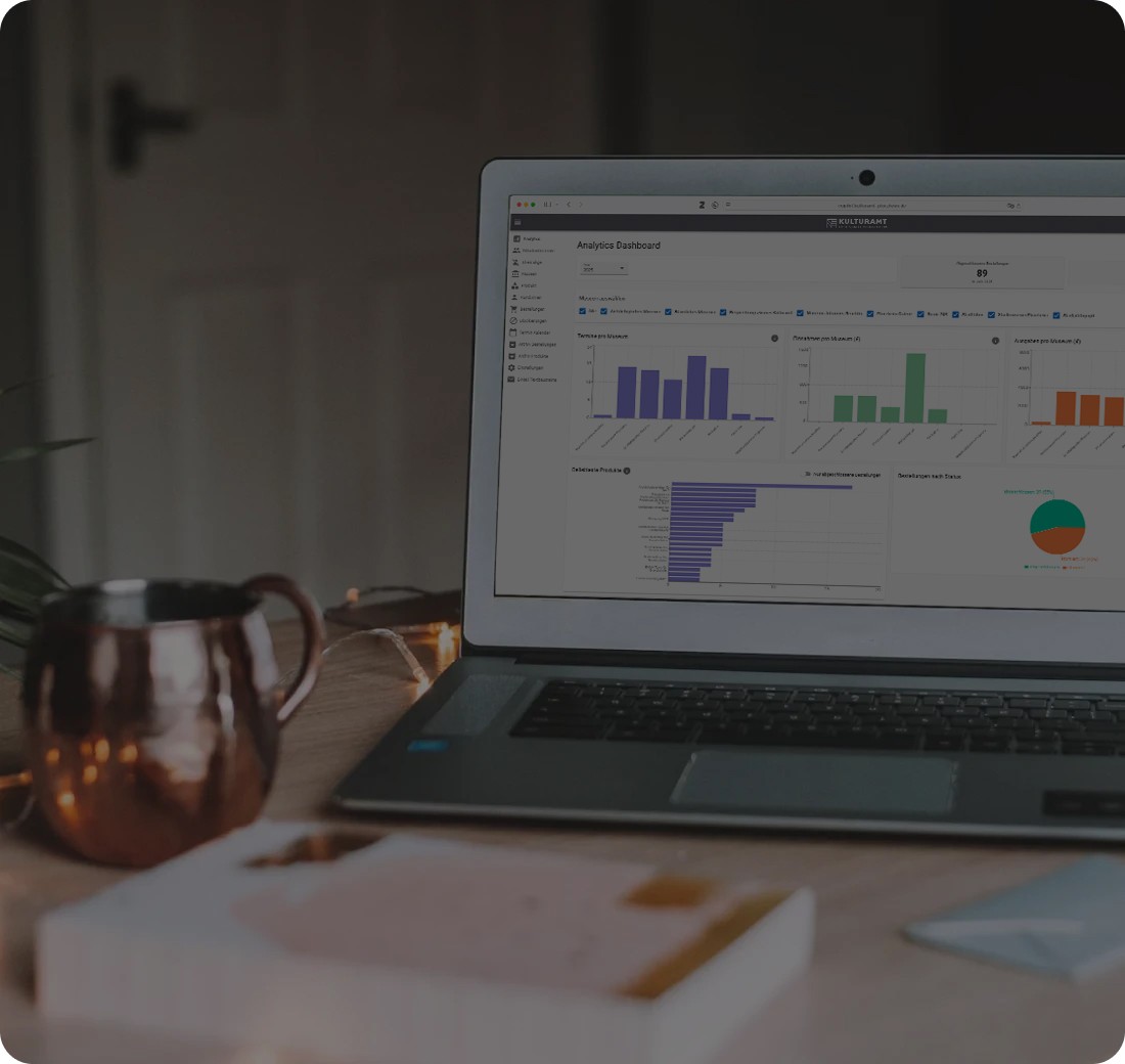Das Bild zeigt die Analyse-Tools auf einem Laptop am Beispiel des Kulturamts Pforzheim