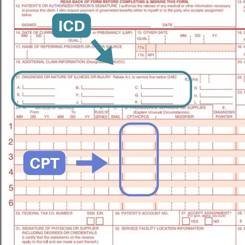 Location of ICD and CPT codes on CMS-1500 Form