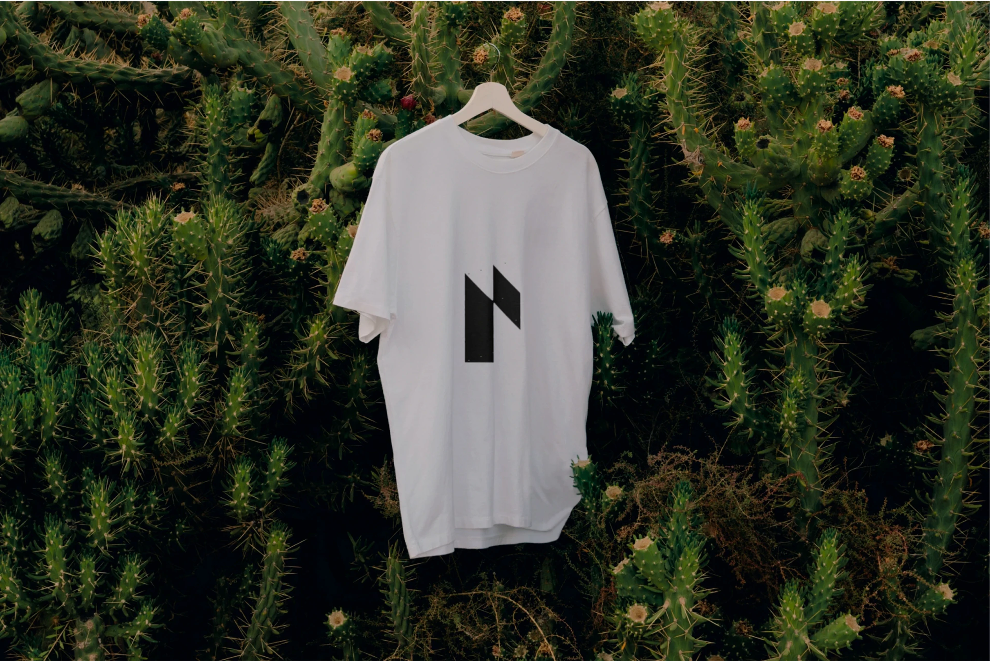 Rare Branding - Visual representing our approach and process we apply to all STALA's frameworks