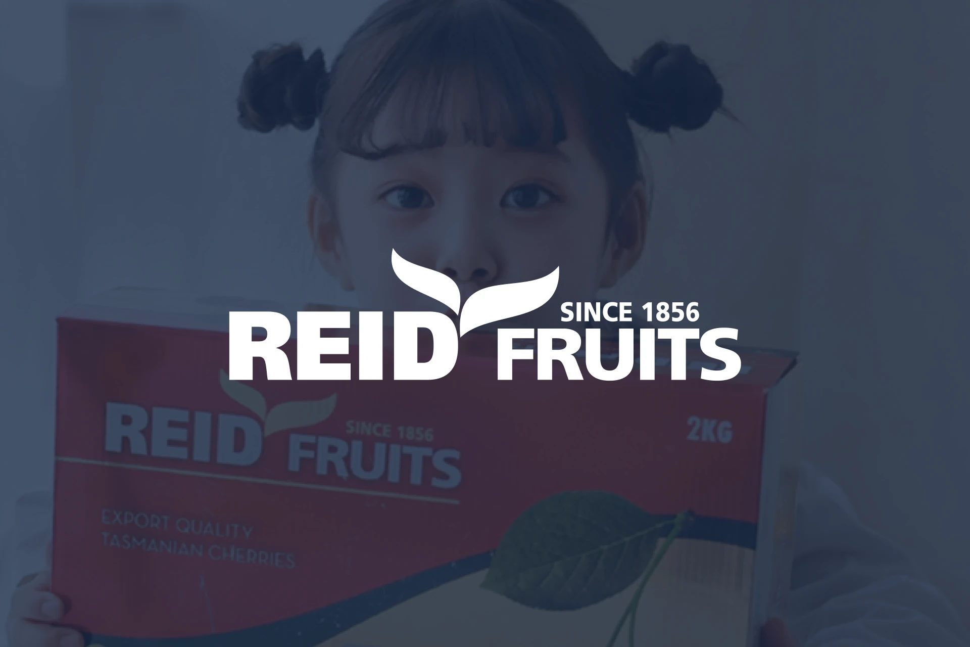Reid Fruits Card image