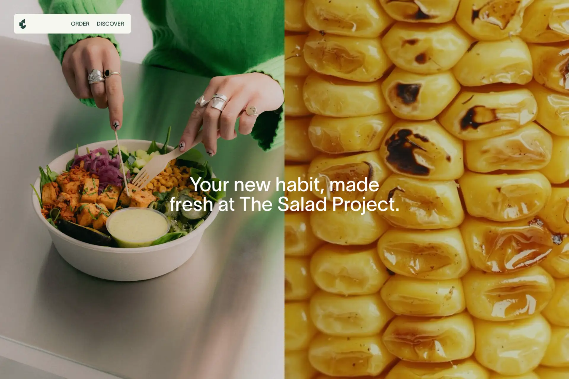 Screenshot of Salad Project website