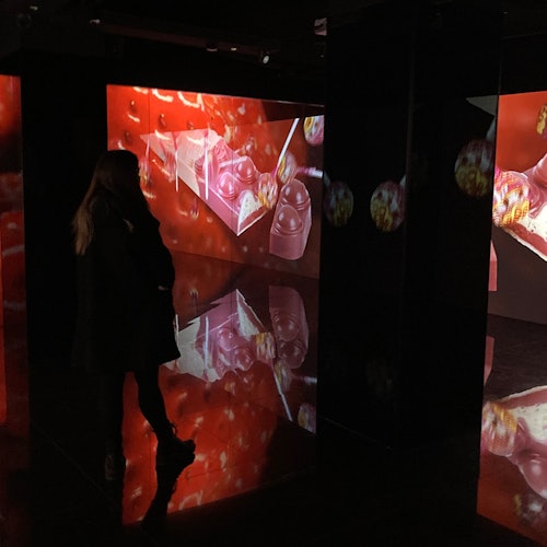 巴塞罗那牛轧糖和巧克力博物馆之旅及品尝门票