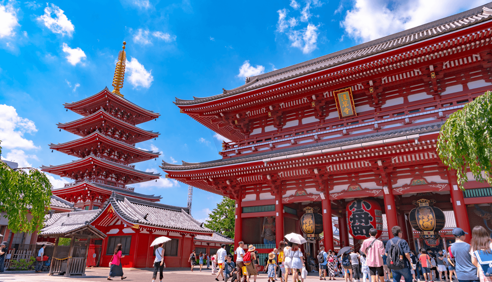 Real Estate Property image 1