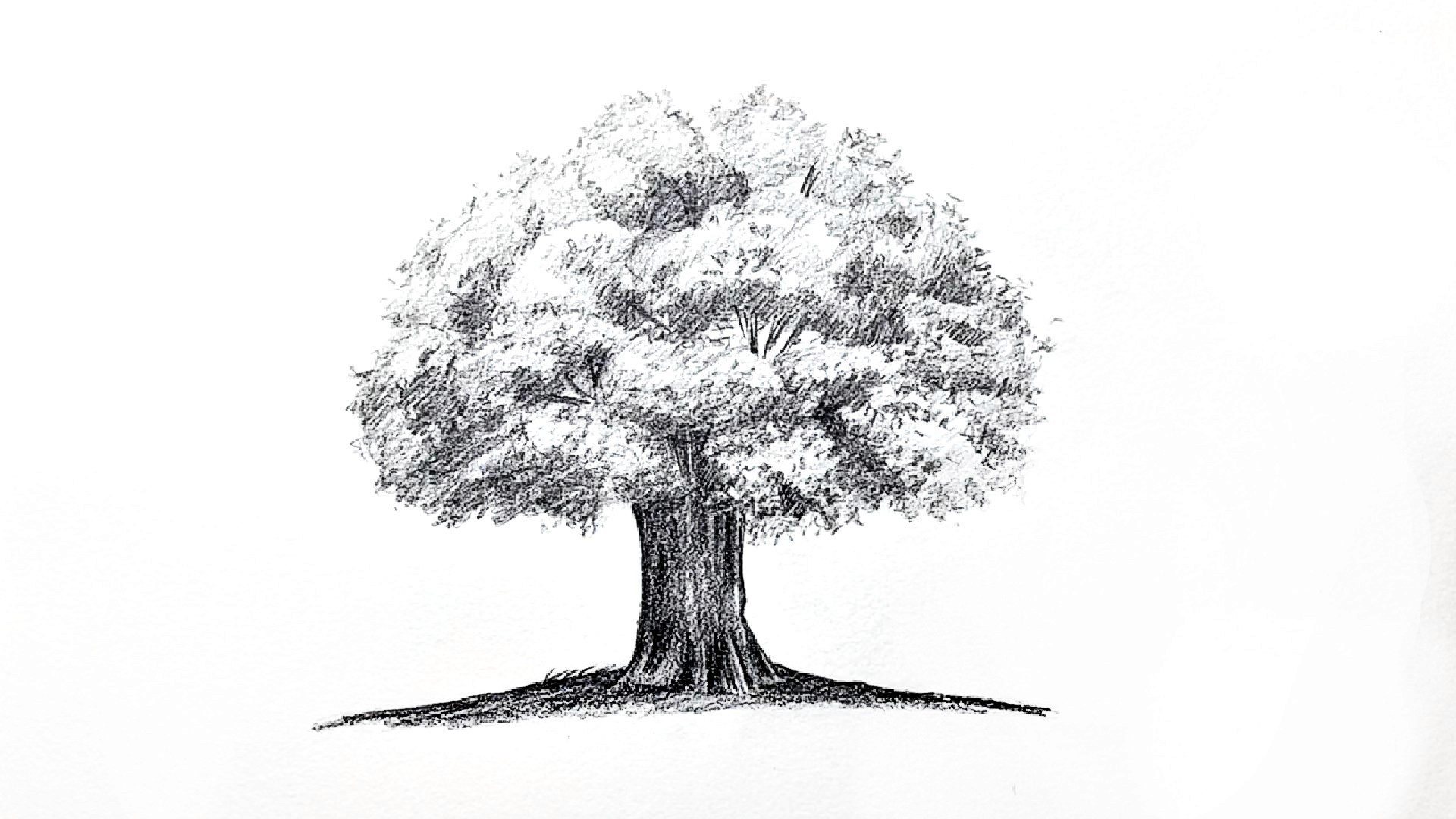 tree drawing