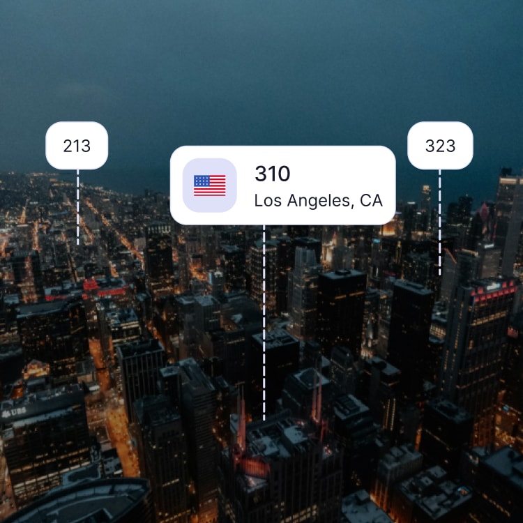 City skyline of Los Angeles showing the 310 area code and surrounding area codes