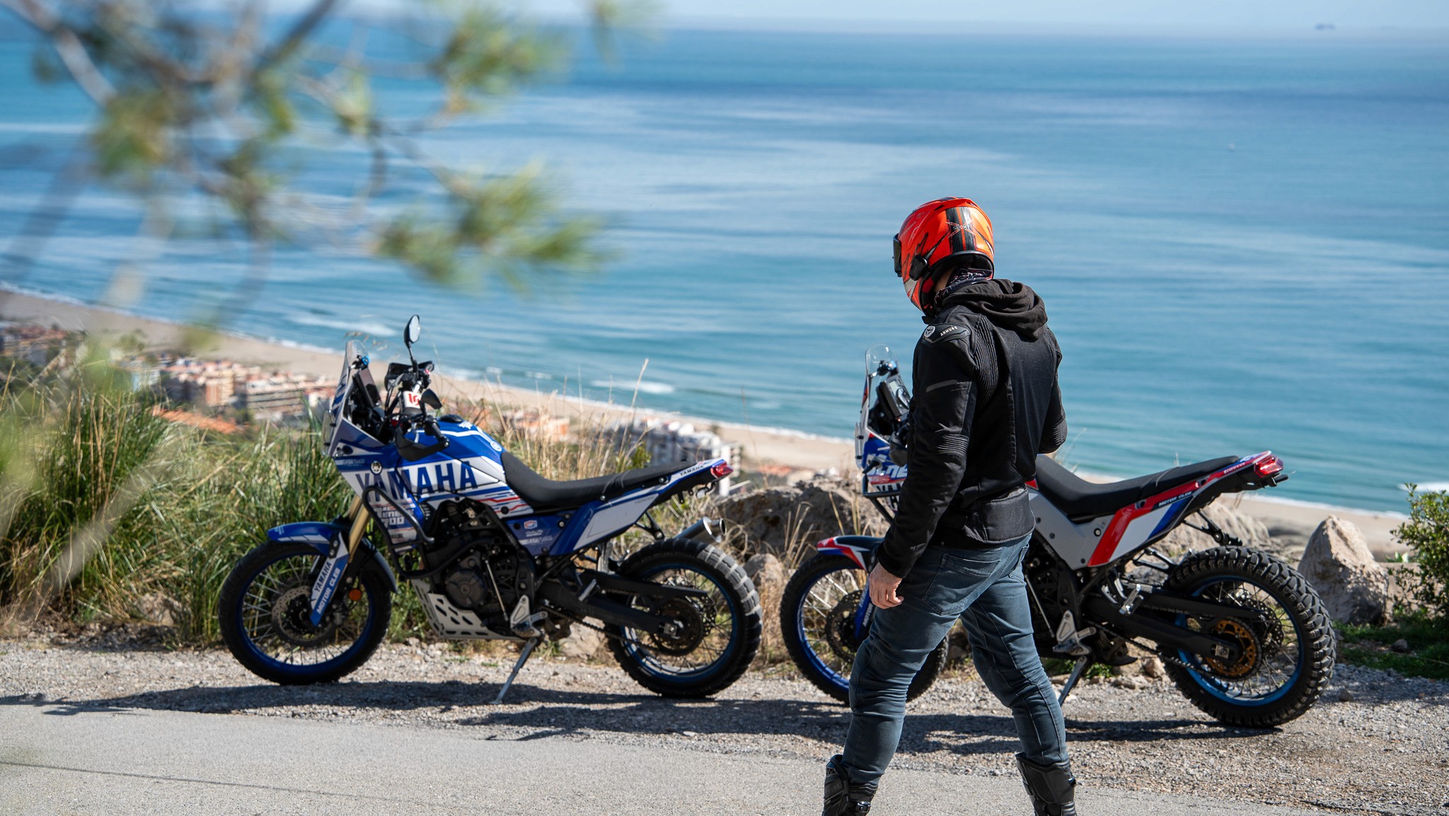 Collection of luxury sports cars displayed in modern rental showroom