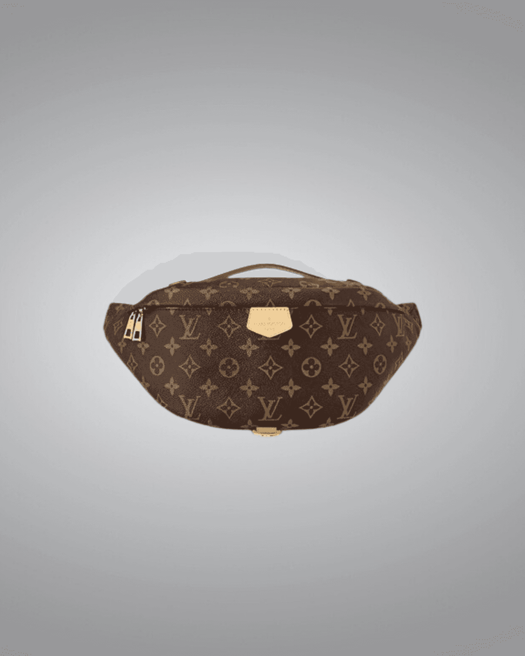 LV Bumbag in Monogram Canvas