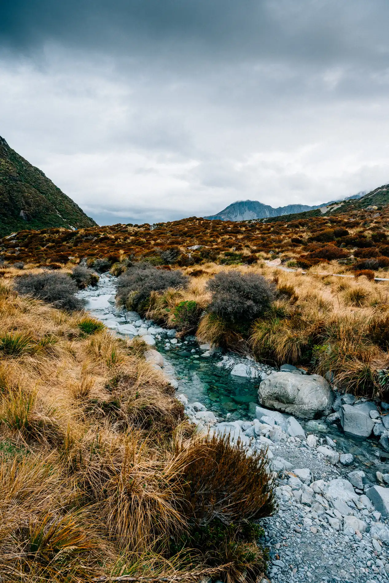 A clear stream cutting through tussock in a broad valley under grey cloud