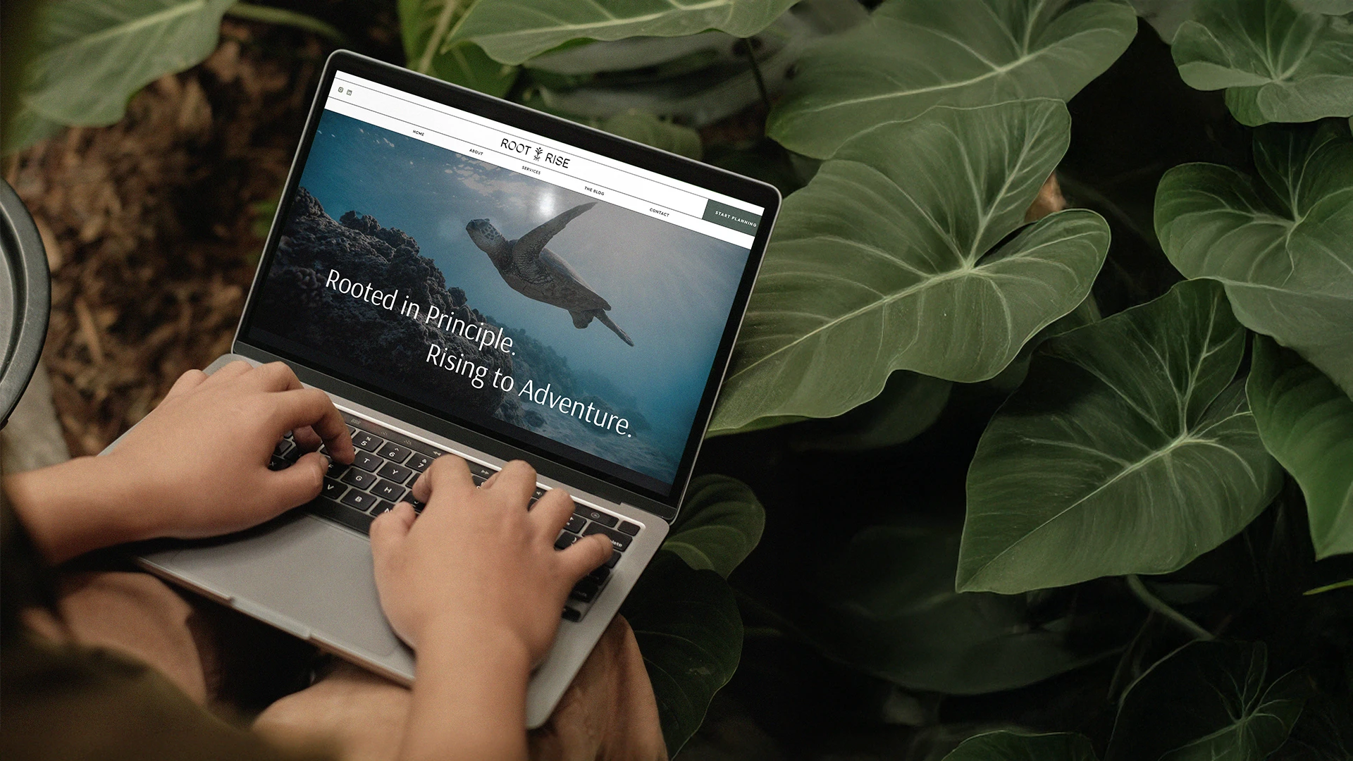 Website design for Root & Rise Travel, a luxury adventure travel advisor designed by Cultured Creative Studio.