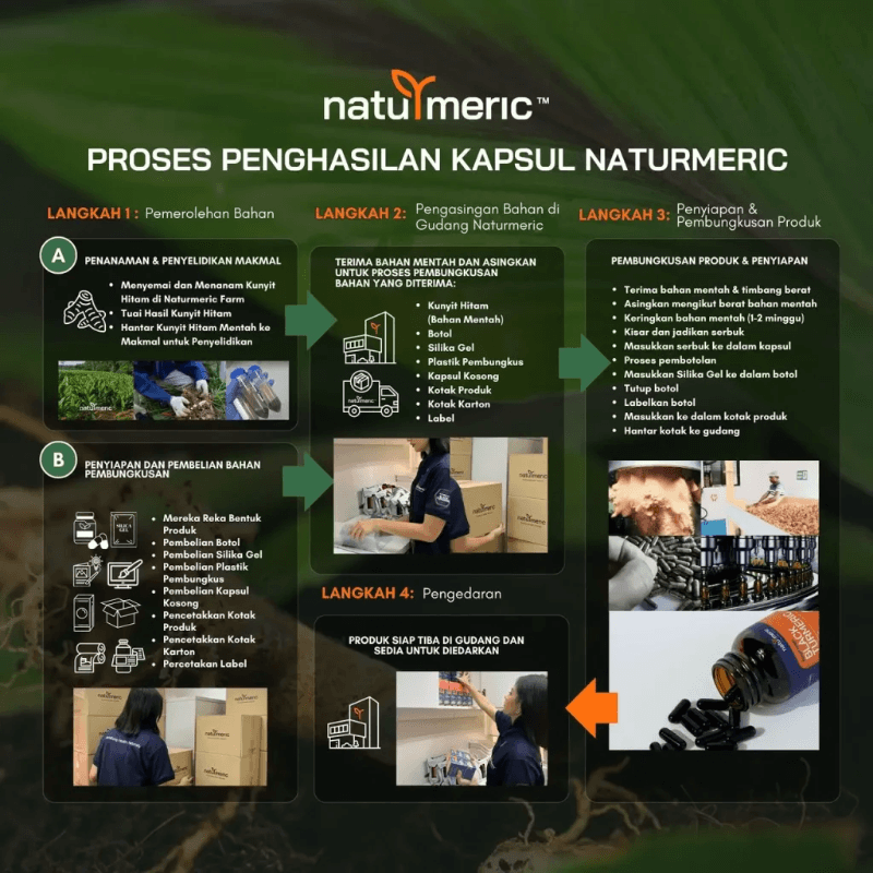 wakil naturmeric membuat penyelidikan kunyit hitam di varian