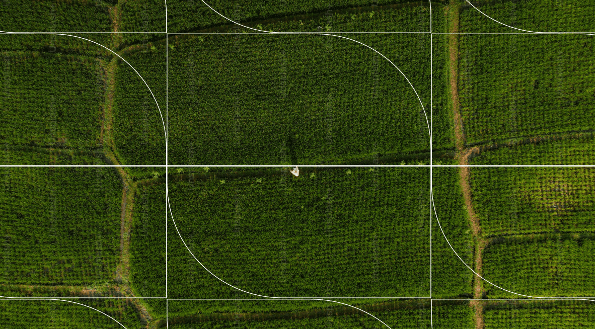 Logotipo formado por las palabras weuta en blanco sobre fondo naranja corporativo.