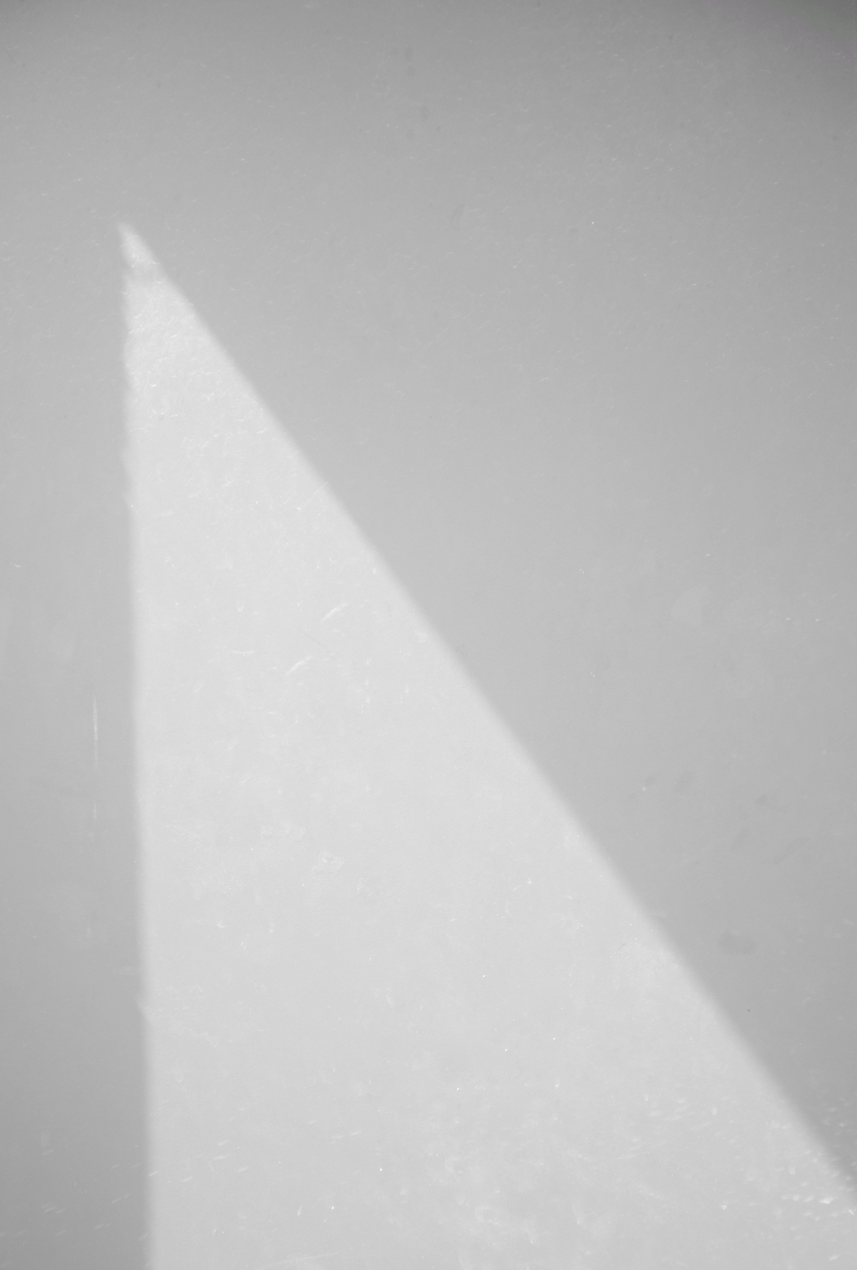 Abstract flowing white shapes with soft shadows
