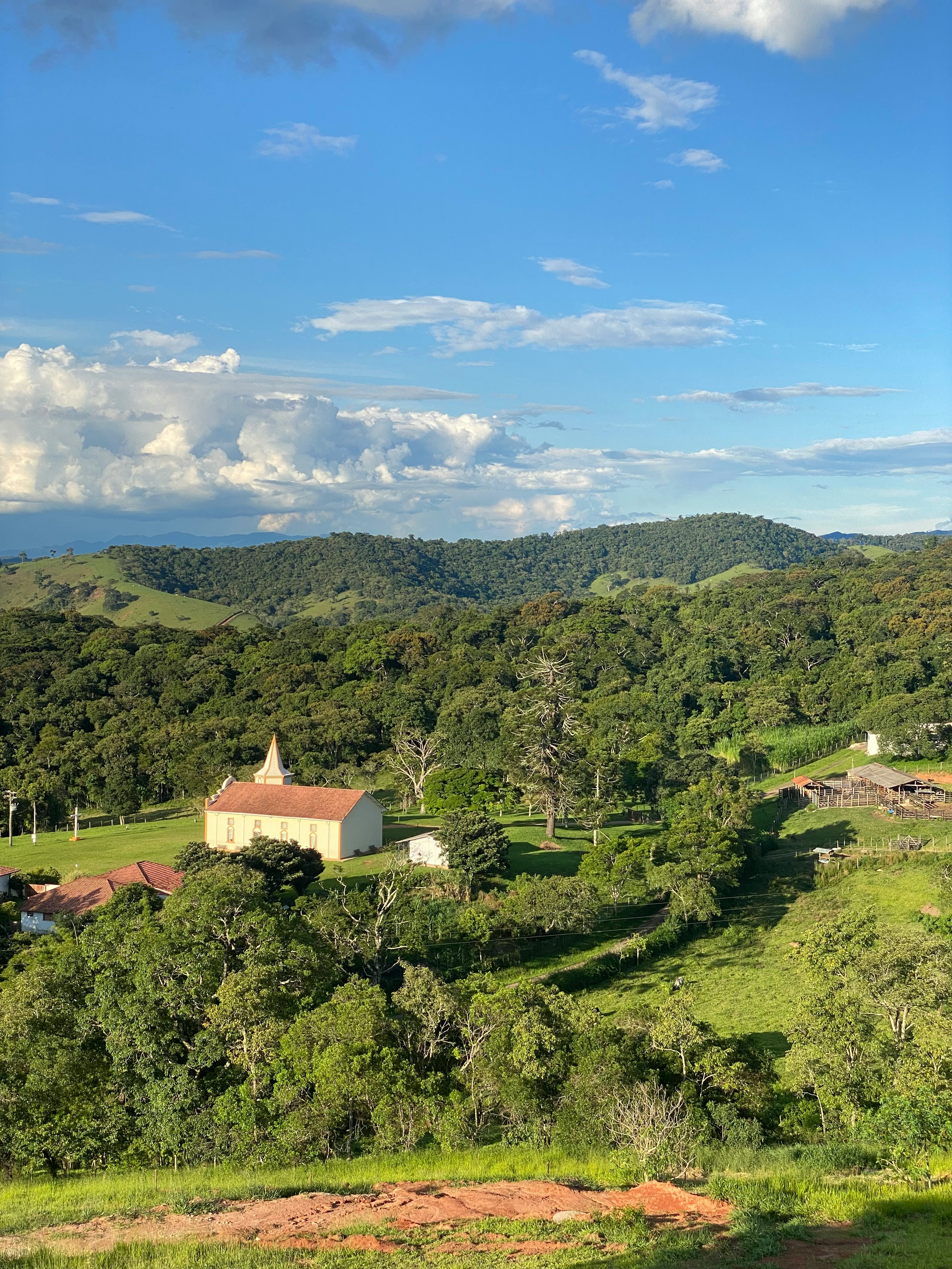 Sabrina Weimann Ernährungsberaterin liegt auf Picknickdecke mit frischem Obst und Gemüse und macht ein Picknick