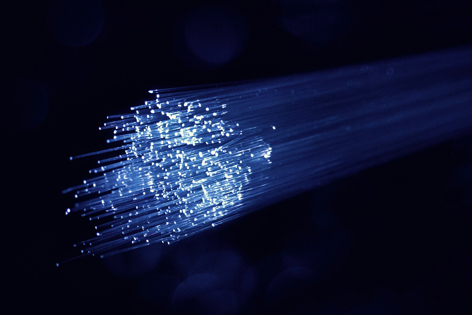 A bundle of fiber optic strands carrying blue light