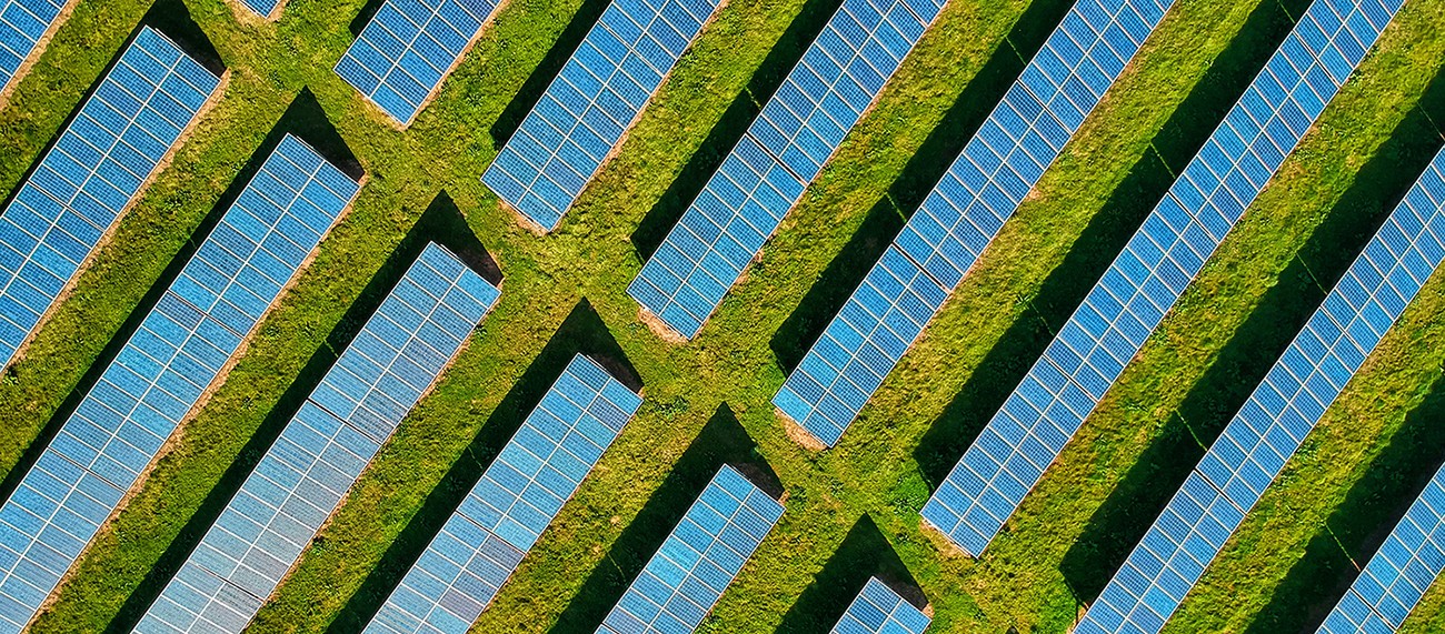 A diagonal arrangement of green wooden slats against a blue sky, creating a visually striking pattern.