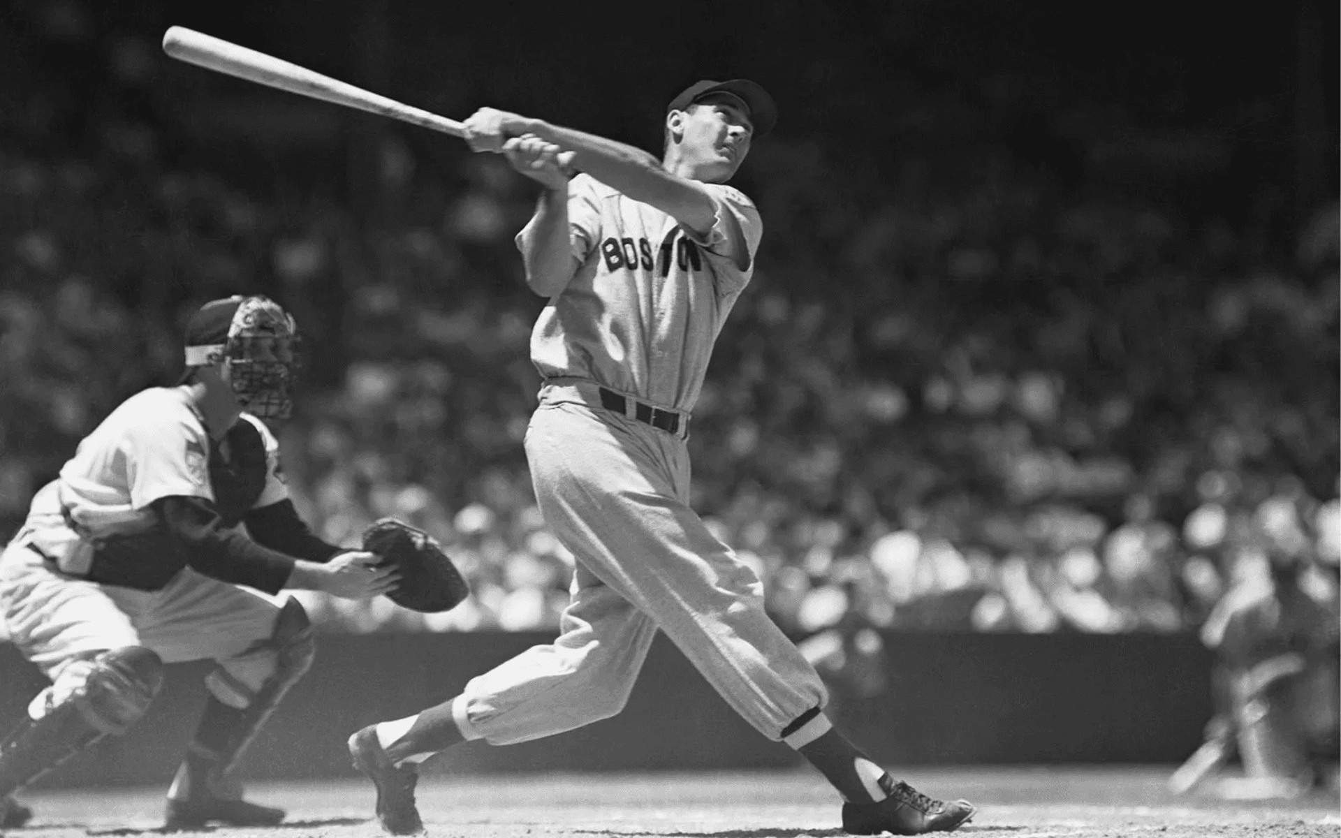 Ted Williams hitting for the Boston Red Sox