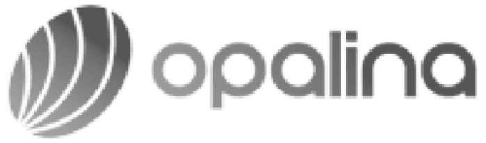 Client brand logo – trusted by Kaarigari Labs