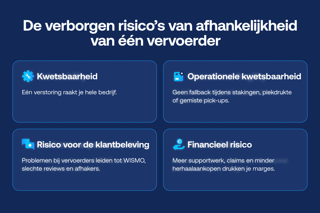 Afbeelding die de verborgen risico's laat zien van het vertrouwen op één vervoerder, zoals kwetsbaarheid voor verstoringen, operationele fragiliteit, risico's voor de klantervaring en financiële risico's.