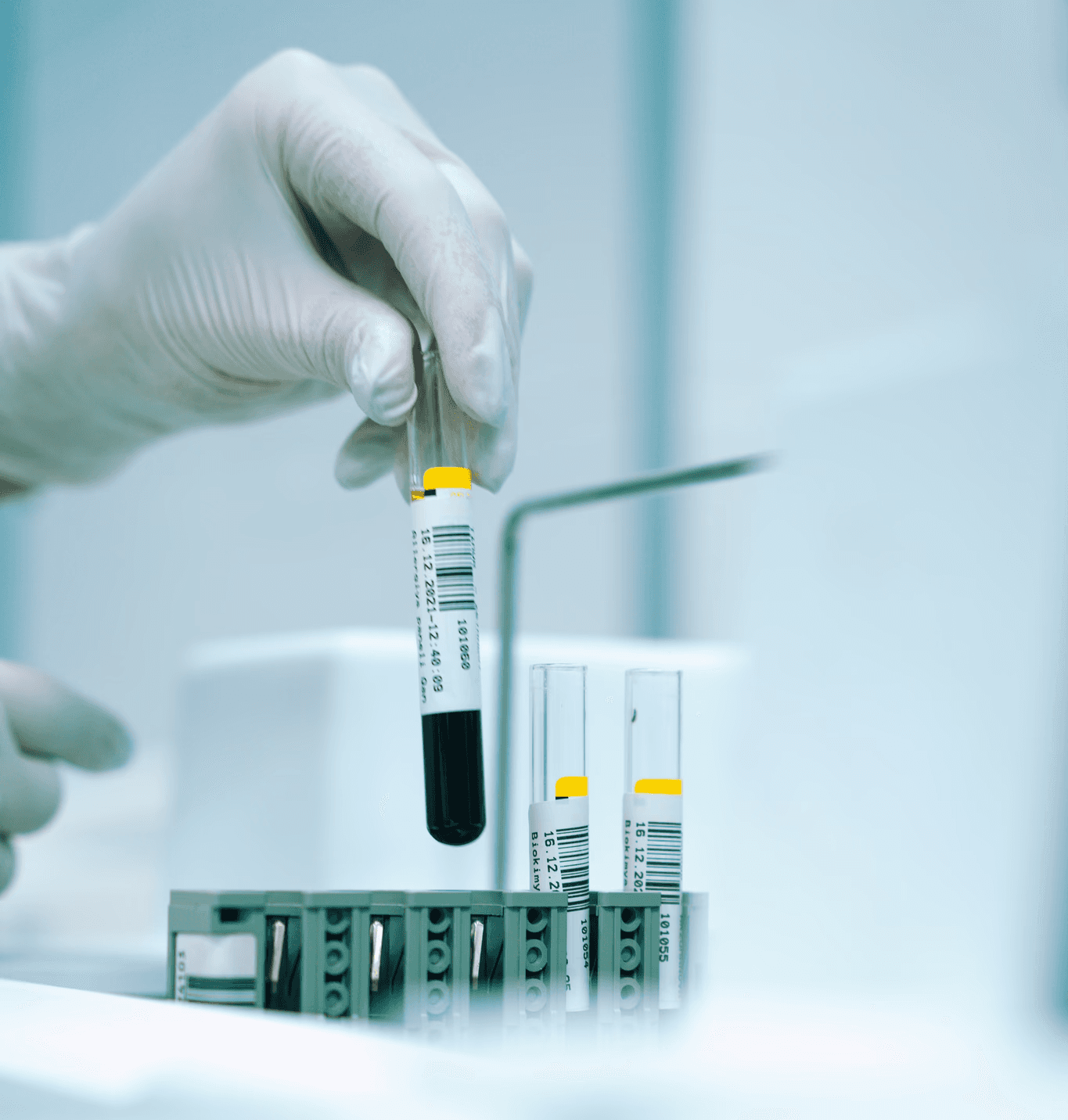 a gloved hand holding a test tube filled with liquid