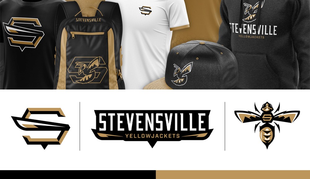 Example of a visual identity system which includes color palette, word mark, alternate logos and branded mockups.