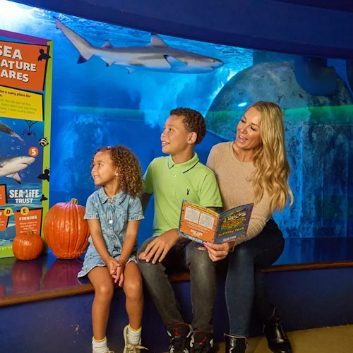 Bir kadın, bir köpekbalığı olan bir akvaryum tankının önündeki bir bankta iki çocuğa okuyor. Yanlarında iki balkabağı var.