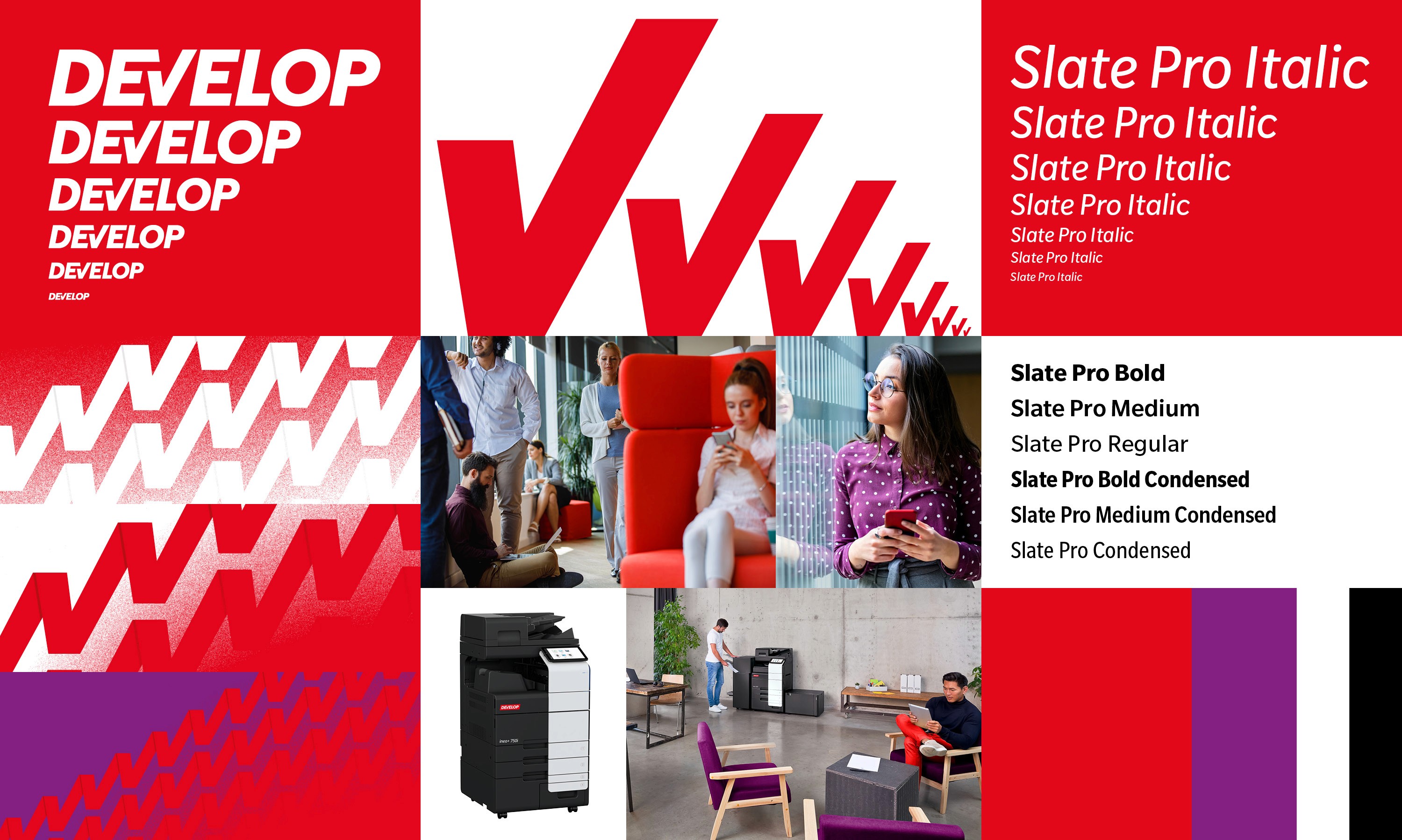 Overview of the brand identity