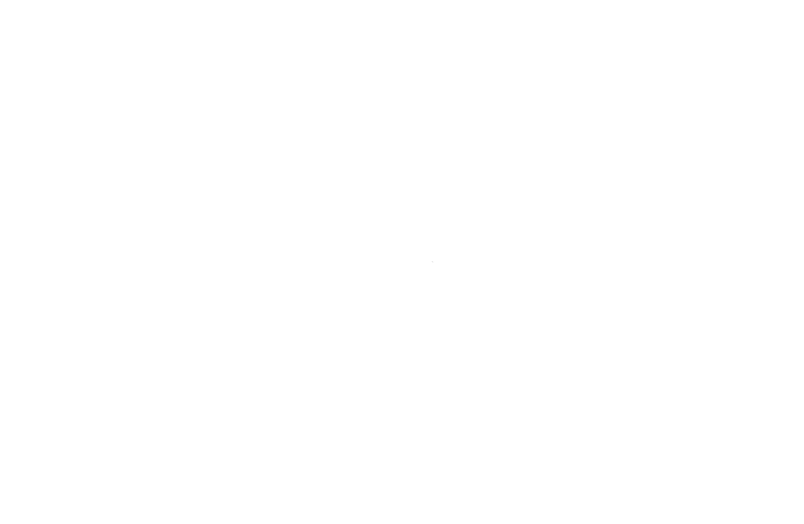Puzzle blanc 1