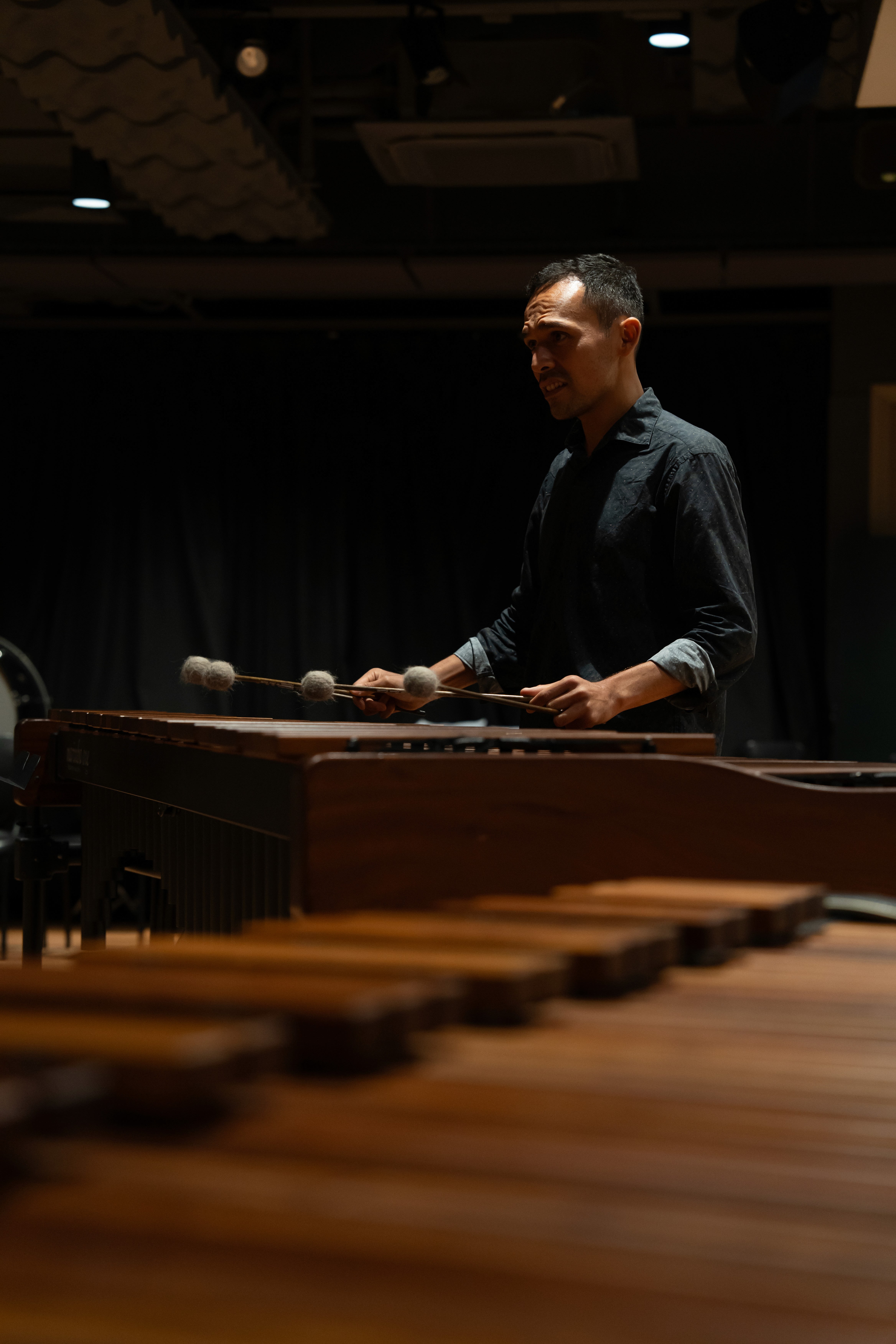 wind breeze, tree move