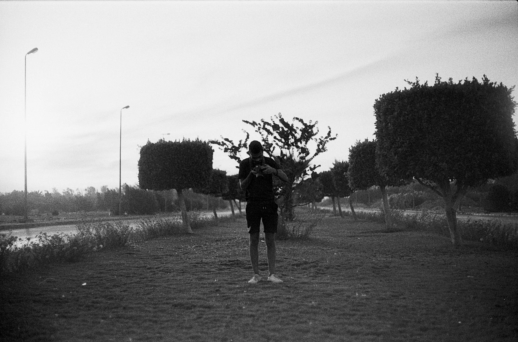 Standing Among the Trees