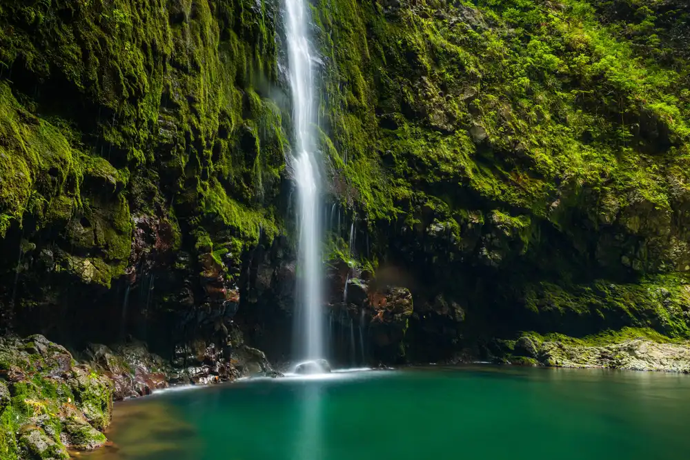 white and brown concrete building