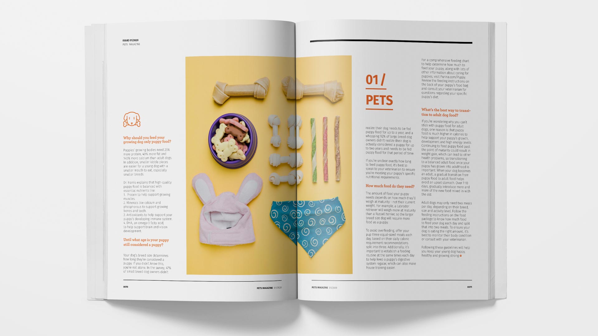 Pets magazine by Shuhan Lu