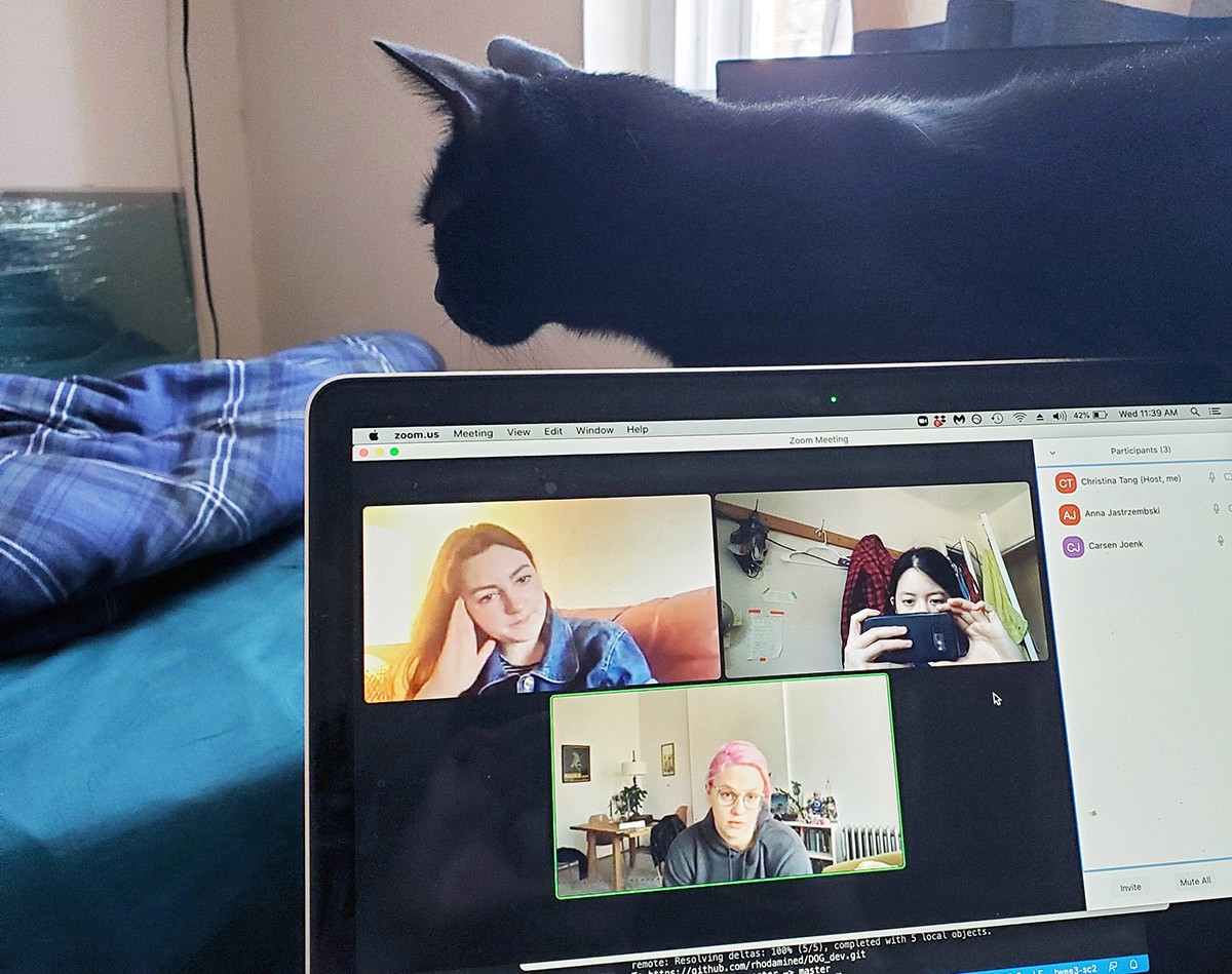A laptop in foreground shows 3 people on zoom. There is a cat behind the laptop.