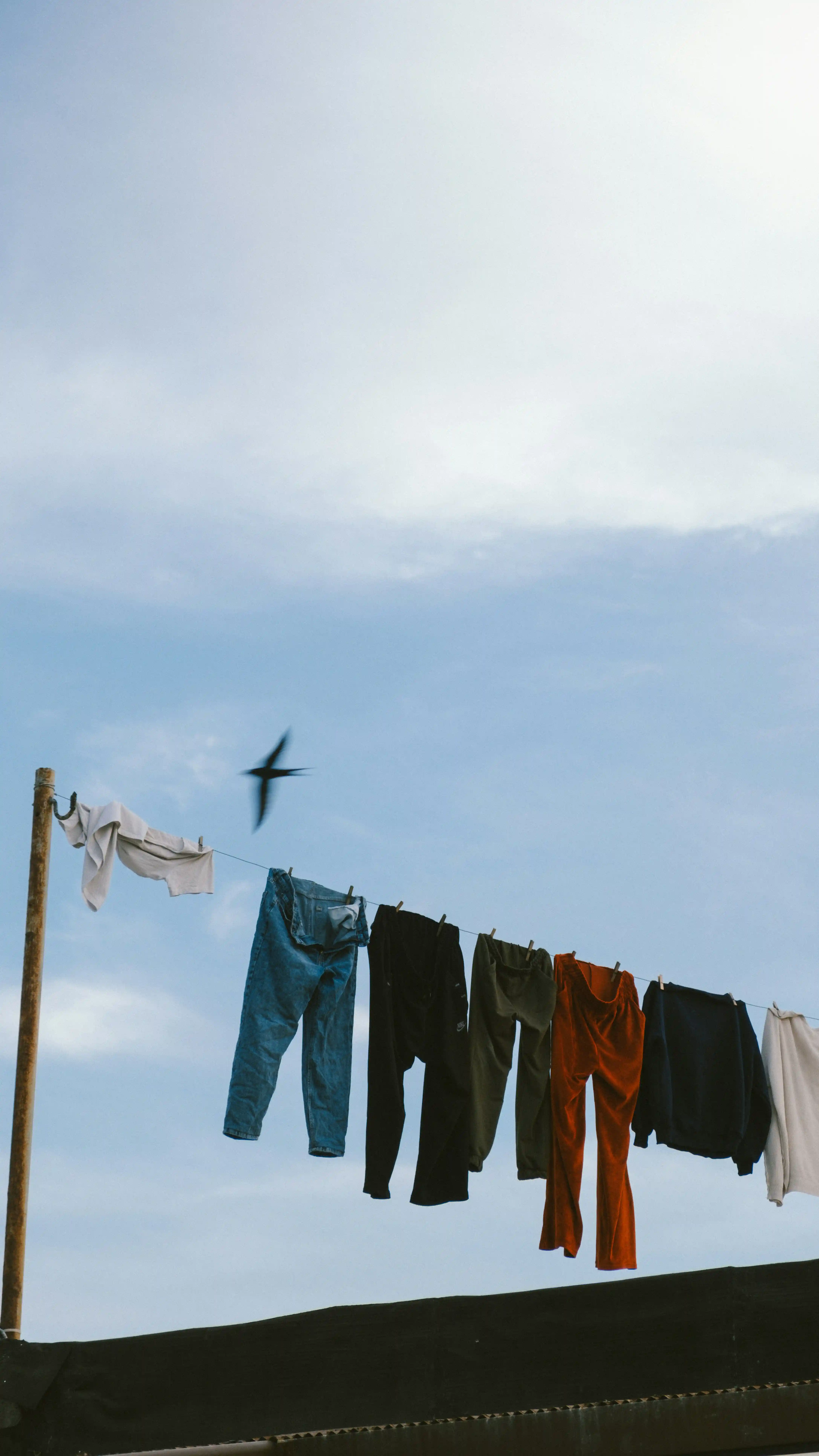 Clothes drying on rope, blue sky and a bird flying in the background.