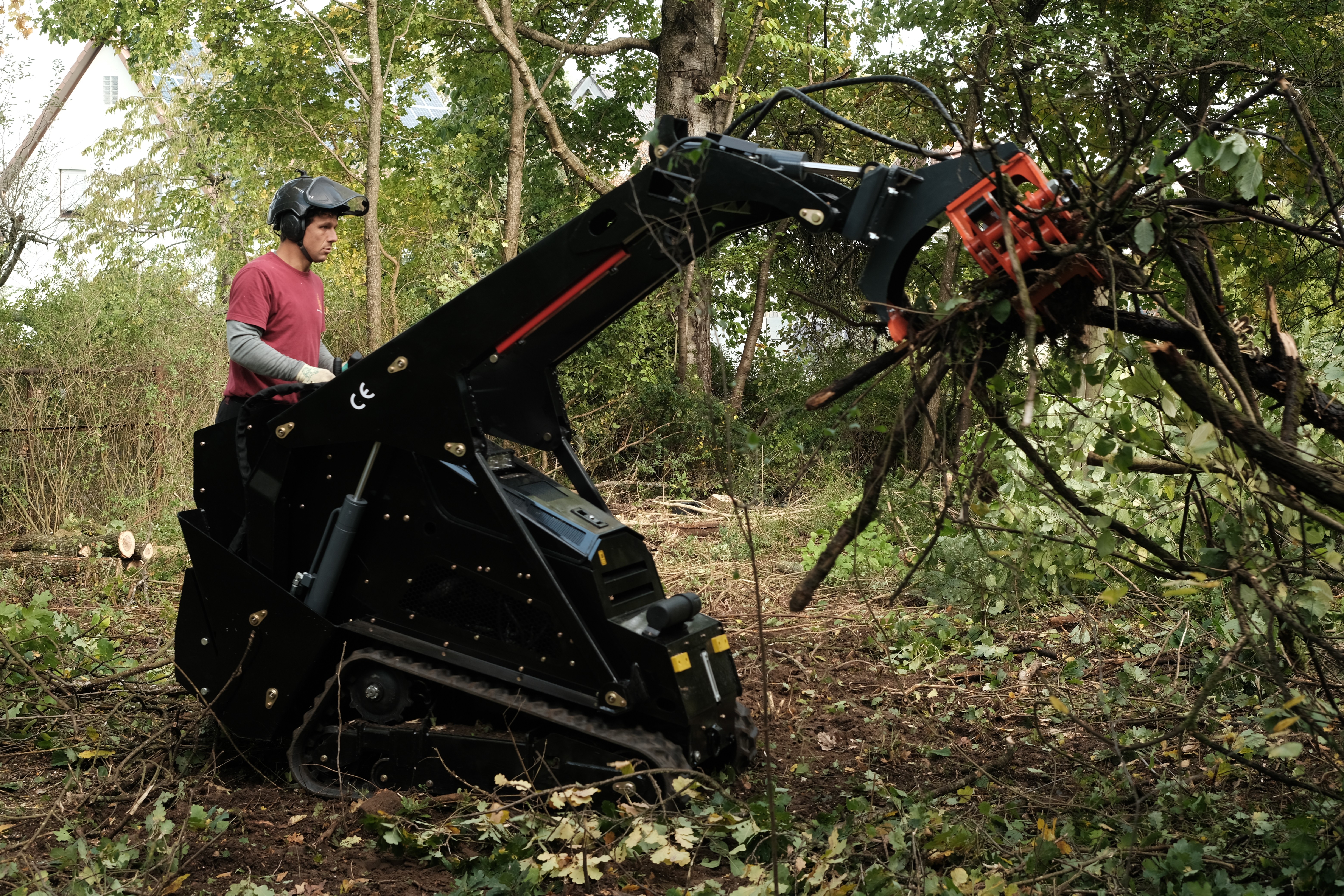 Baumpflege Augsburg Rodung Grundstück