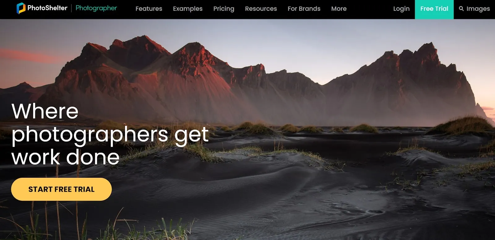 how-to-use-photoshelter-for-high-volume-photography