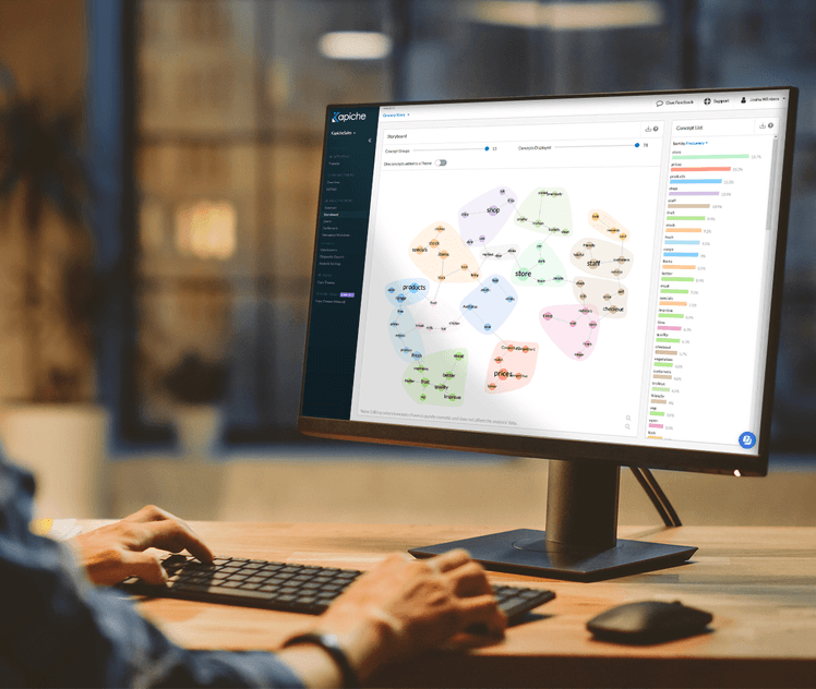 Kapiche storyboard view