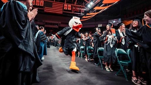 yellow sports car on top gray road