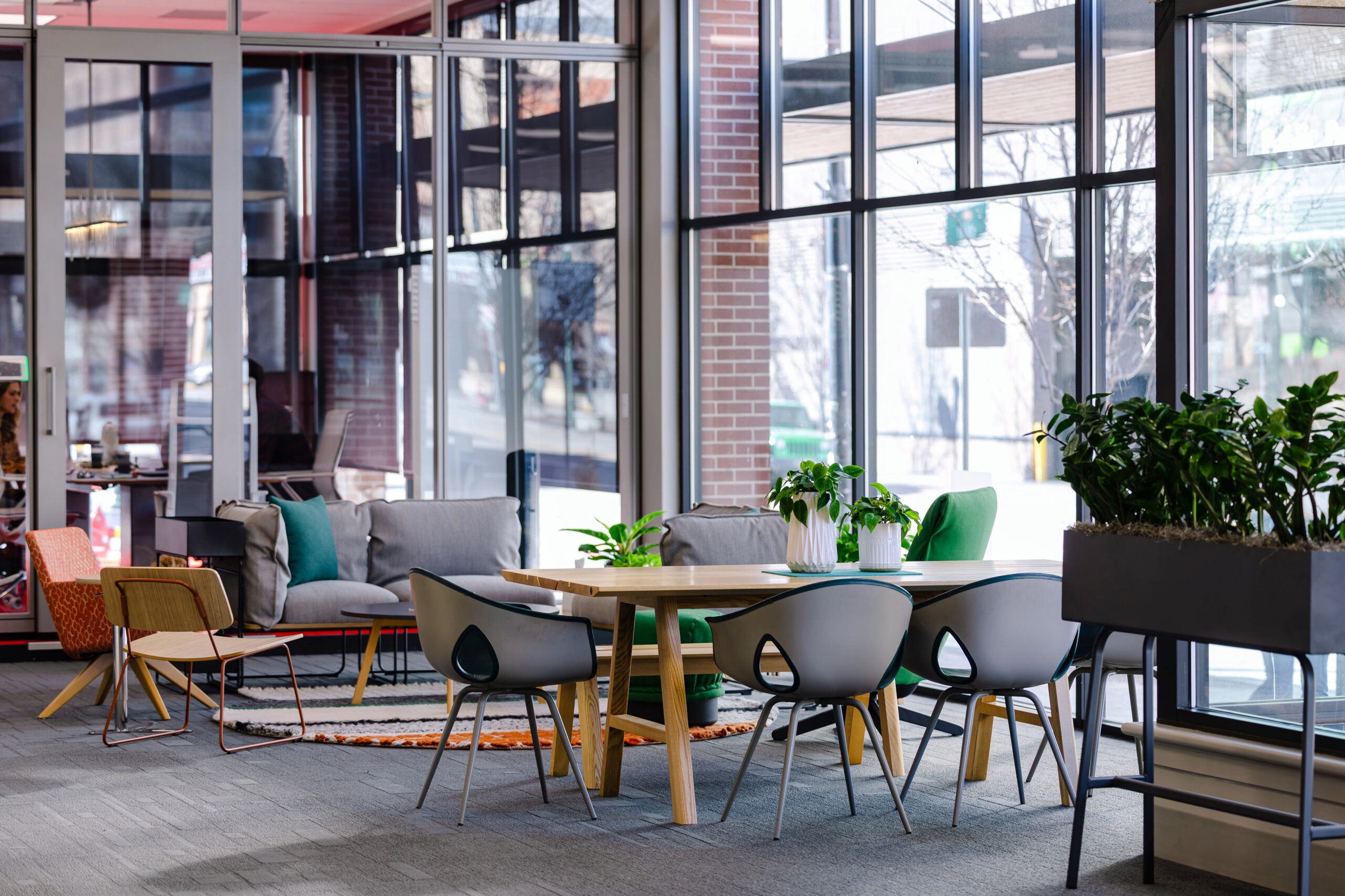 a red carpet with a black cat laying on top of it