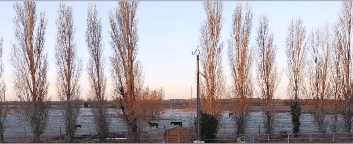 vue hiver au ranch pegase.